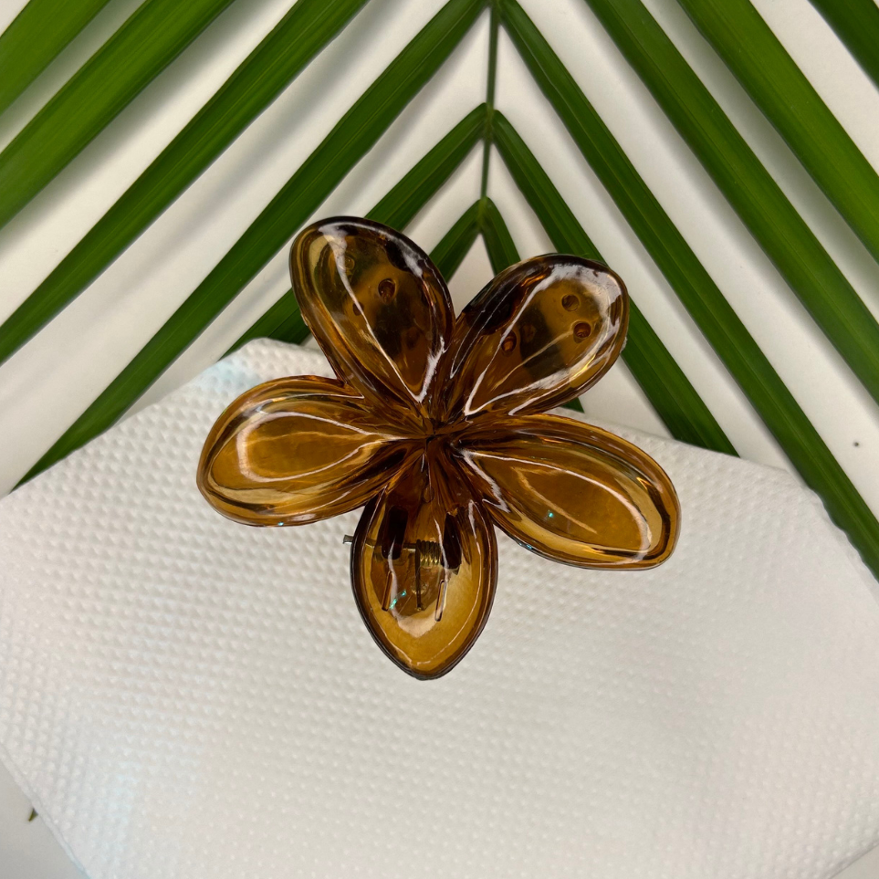 Transparent Claw Clip - Brown