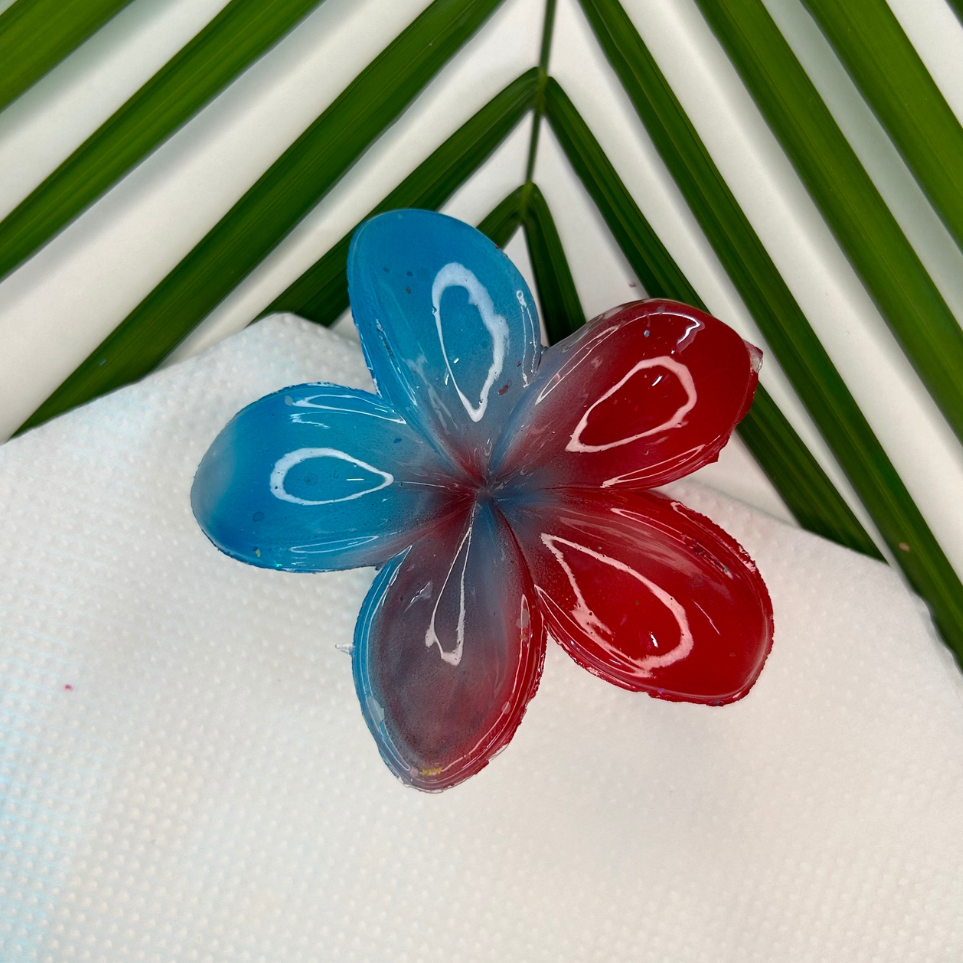 Twin Shade Claw Clip - Blue/Red
