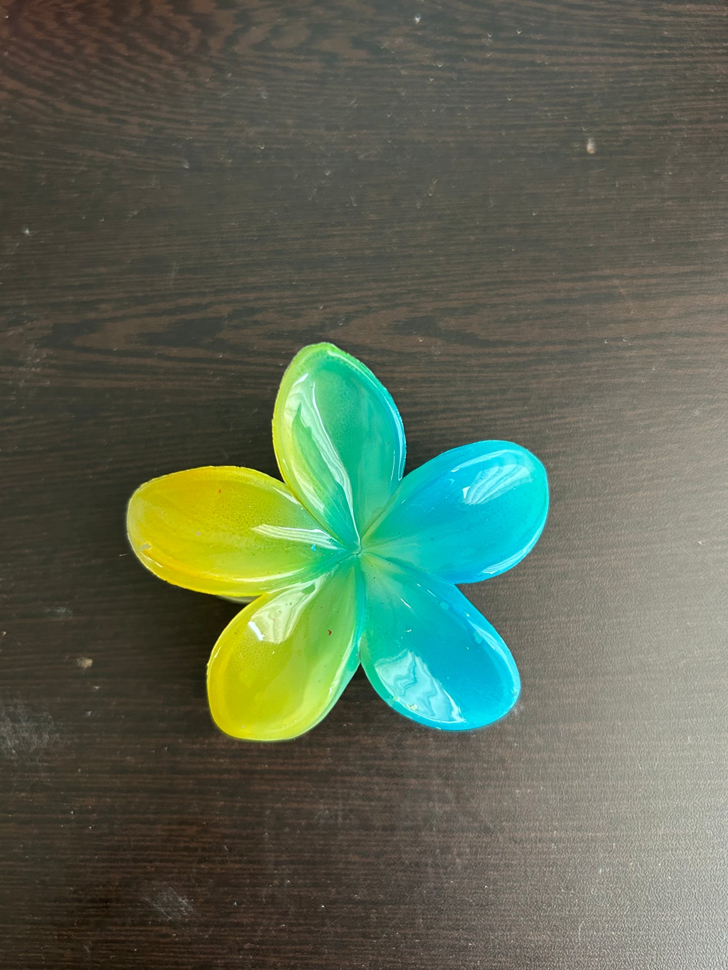 Twin Shade Claw Clip - Yellow/Blue