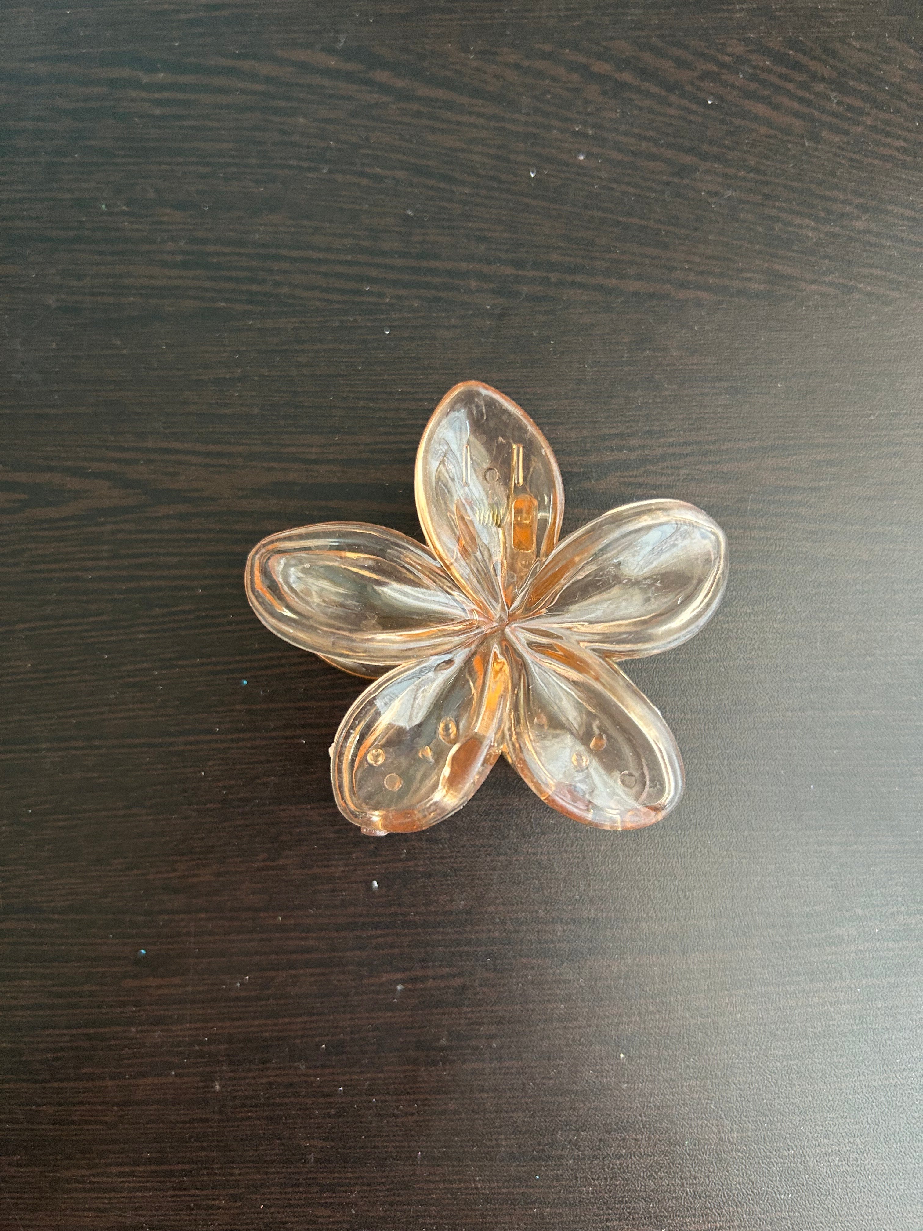 Transparent Claw Clip - Skin