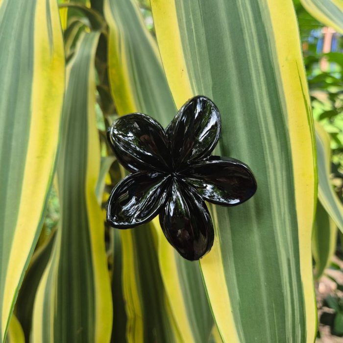 BLACK KOREAN FLOWER CLAW