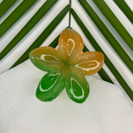 Twin Shade Claw Clip - Green/Orange