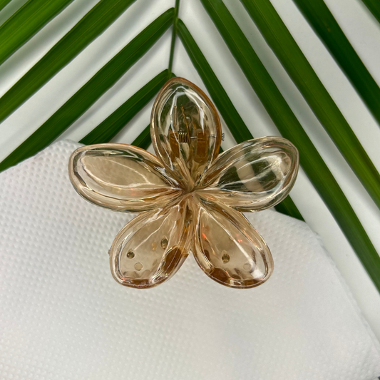 Transparent Claw Clip - Skin
