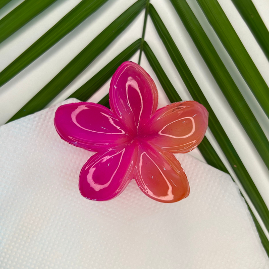 Twin Shade Claw Clip - Pink/Orange