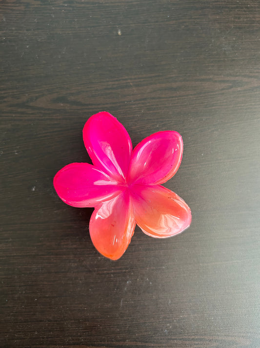 Twin Shade Claw Clip - Pink/Orange