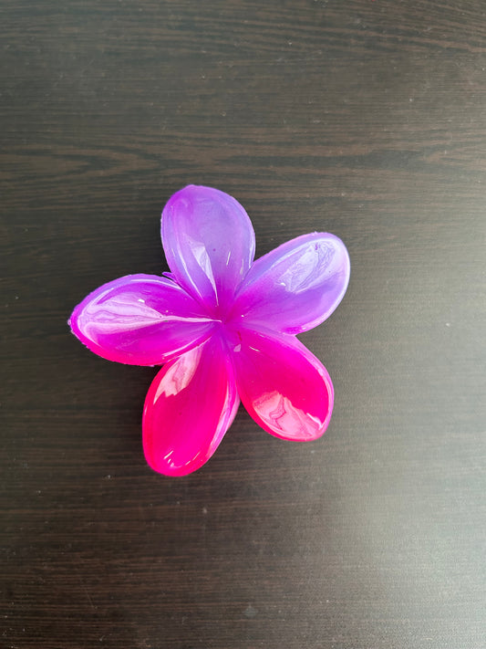 Twin Shade Claw Clip - Pink/Purple