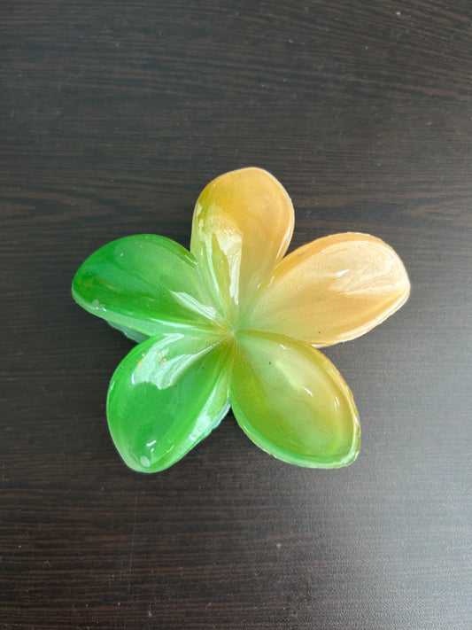 Twin Shade Claw Clip - Green/Orange