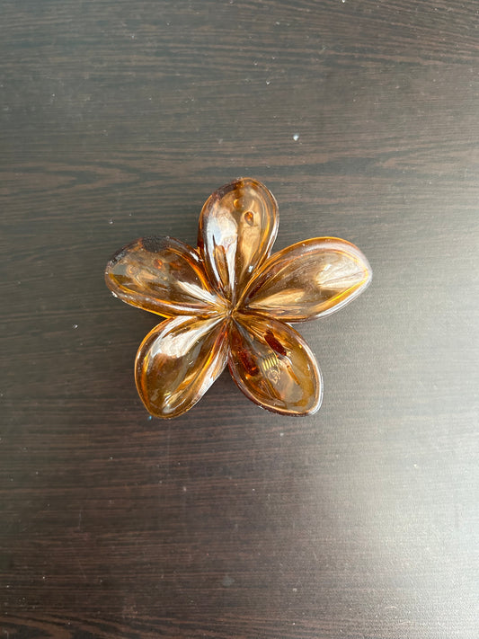 Transparent Claw Clip - Brown