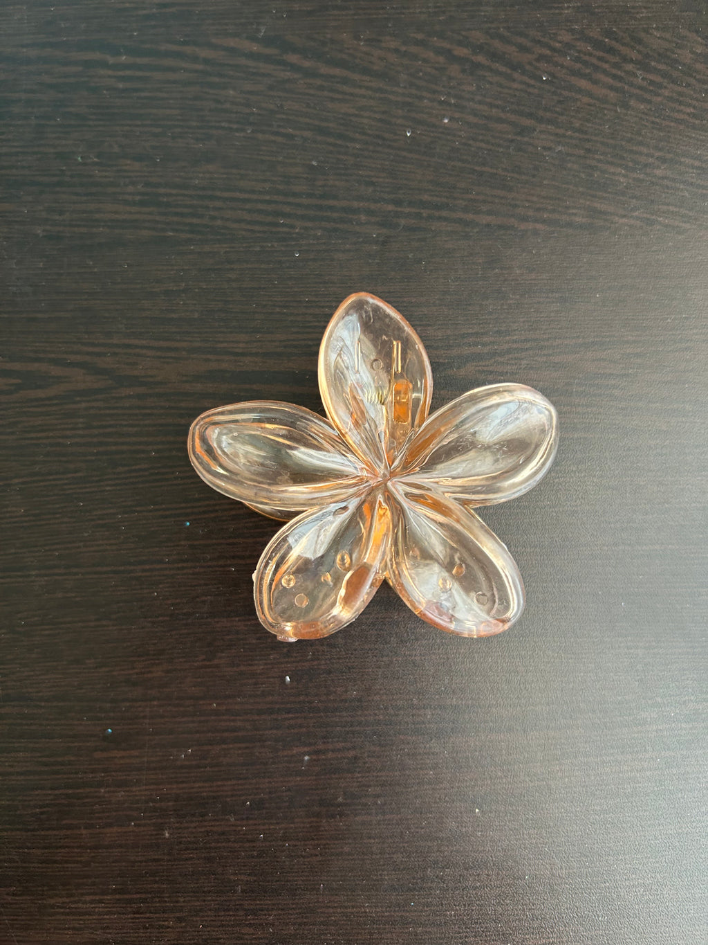 Transparent Claw Clip - Skin