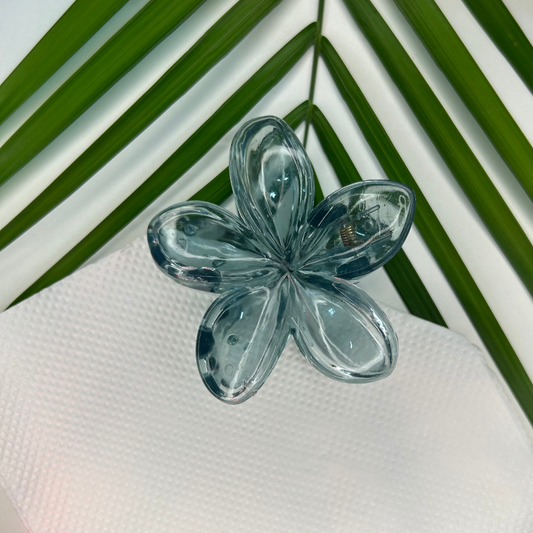 Transparent Claw Clip - Blue